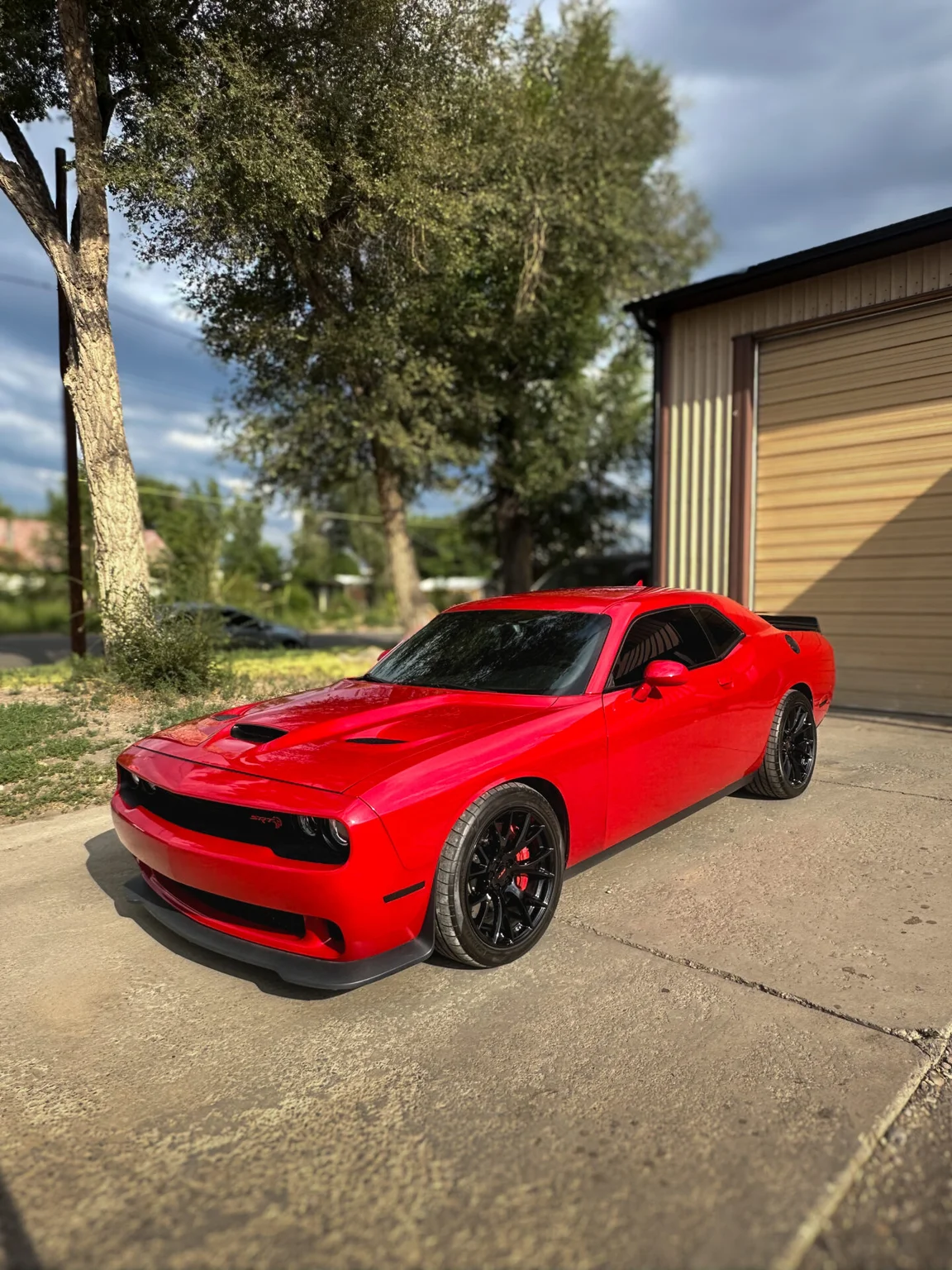 Paint Correction Montrose, CO - Section 3