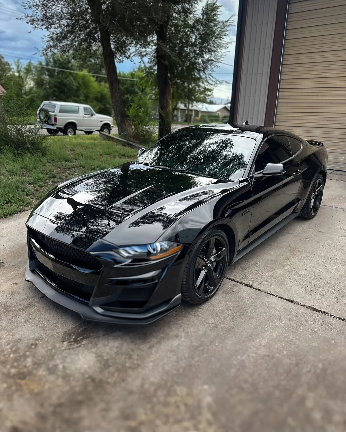 Paint Correction Montrose, CO - Section 7